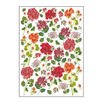CALAMBOUR ДЕКУПАЖНА ХАРТИЯ 49,5/34,5 СМ - PAU 53