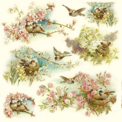 STAMPERIA DECOUPAGE RICE PAPER 50/50 - DFT208