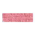 CARAN D'ACHE OIL PASTELS NEOPASTEL PINK