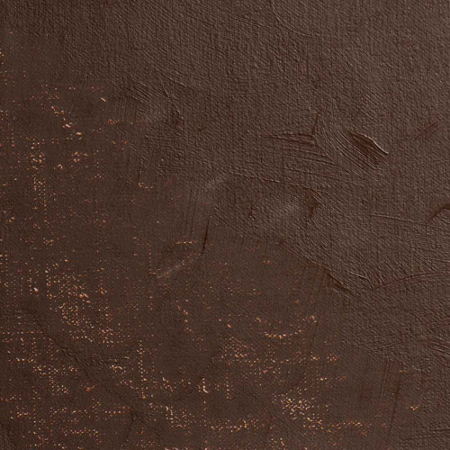 BLOCKX МАСЛЕНА БОЯ BURNT UMBER 35ML 213148BXC