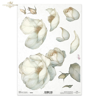 ITD COLLECTION DECOUPAGE RICE PAPER A4 - R2692