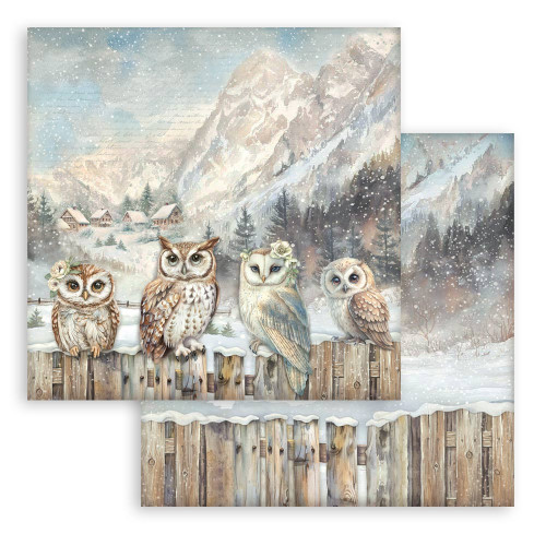 STAMPERIA THE OWL'S HOUSE BLOCK PAPER 30.5/30.5CM-SBBL174
