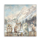 STAMPERIA THE OWL'S HOUSE BLOCK 20.3/20.3 CM -SBBSXB16
