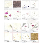 NEPAL HANDMADE PAPER BARK 60 GSM, 50/75