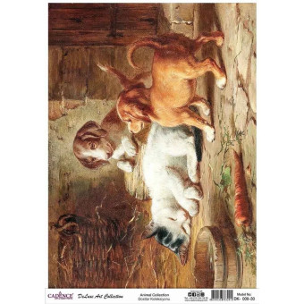 CADENCE ДЕКУПАЖНА ОРИЗОВА ХАРТИЯ A3 - DK-009-30