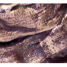 DAILY ART PATINA MEDIUM 50 ML