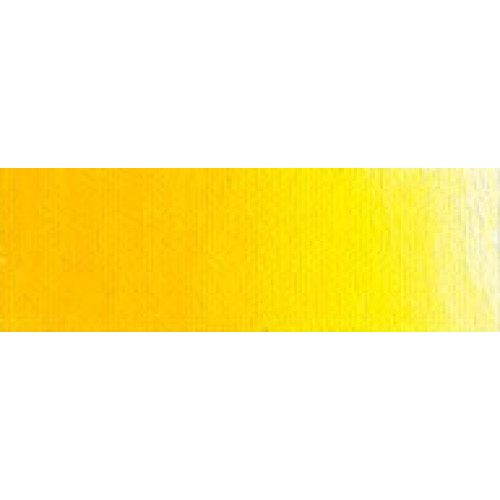 OLD HOLLAND OIL PAINT 40 ML. - CADMIUM YELLOW MEDIUM