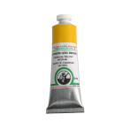 OLD HOLLAND OIL PAINT 40 ML. - CADMIUM YELLOW MEDIUM