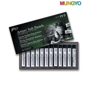 MUNGYO DRY PASTEL SET MPV-12 C