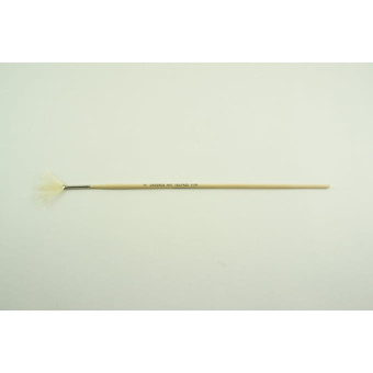 CADENCE CLEAR BRANCH SAIL 213 №2