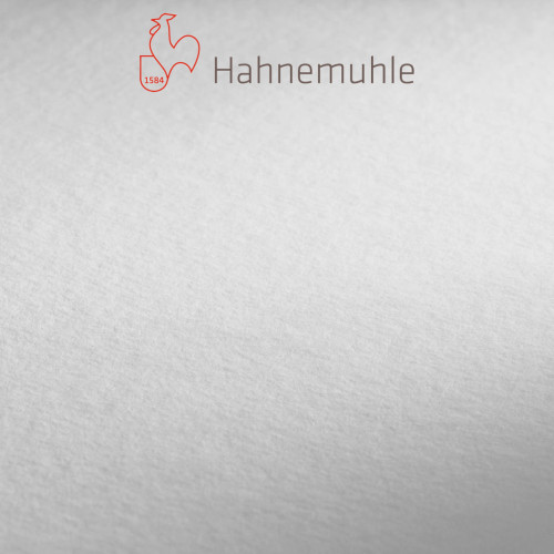 HAHNEMUHLE ХАРТИЯ CONCEPT SKETCH & DRAW 200 GSM 100/70СМ
