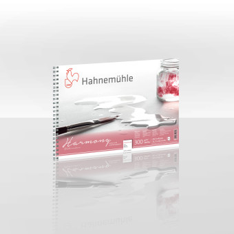 HAHNEMUHLE СКИЦНИК HARMONY 29,7/42 СМ, 300 ГР, 12 Л.