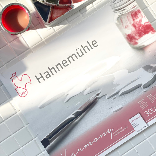 HAHNEMUHLE СКИЦНИК HARMONY 29,7/42 СМ, 300 ГР, 12 Л.