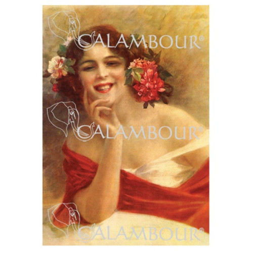 CALAMBOUR ДЕКУПАЖНА ХАРТИЯ 48/33 СМ - DGR 177