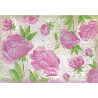 STAMPERIA DECOUPAGE RICE PAPER 48/33 - DFS269
