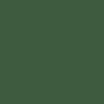 CARAN D'ACHE АКВАРЕЛНИ ПАСТЕЛИ NEOCOLOR II ОЛИВНО ЧЕРНО
