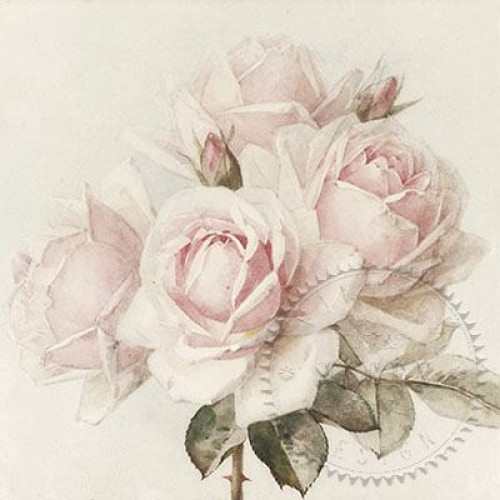 SAGEN VINTAGE NAPKINS FOR DECOUPAGE 33/33 CM - 80081