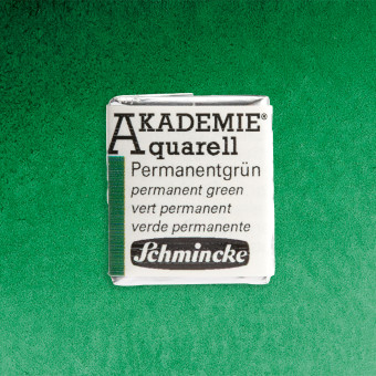 SCHMINCKE АКВАРЕЛНА БОЯ H/PAN AKADEMIE PERMANENT GREEN