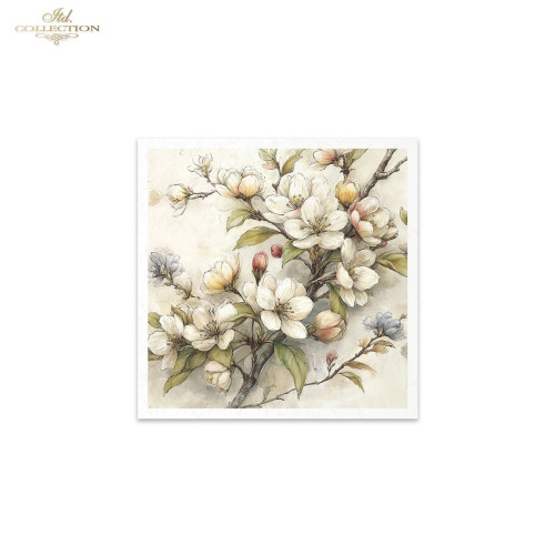 ITD COLLECTION MINI RICE PAPER К-КТ 6БР 14.8X14.8CM - RSM243