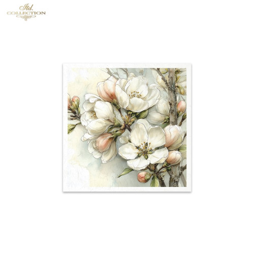 ITD COLLECTION MINI RICE PAPER К-КТ 6БР 14.8X14.8CM - RSM243