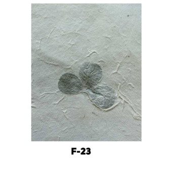 NEPAL HANDMADE PAPER F-23 60 GSM, 50/75