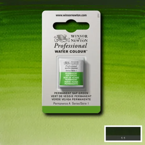 W&N WATERCOLOUR PAINT PROFESSIONAL H/PAN - SAP GREEN