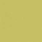 LANA COLORED PAPER YELLOW-GREEN 160 GSM 50/65