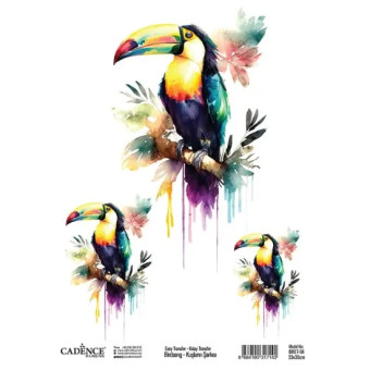 CADENCE TRANSFER DECORATION FOR TEXTILES 25X35CM - BRFT-04