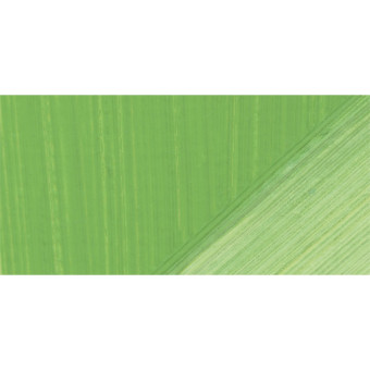 LUKAS OIL PAINT TERZIA 75 ML. - CHROMIUM GREEN LIGHT