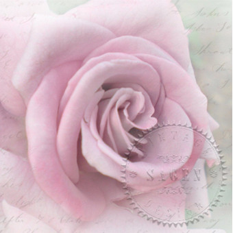 SAGEN VINTAGE NAPKINS FOR DECOUPAGE 33/33 CM - 80099