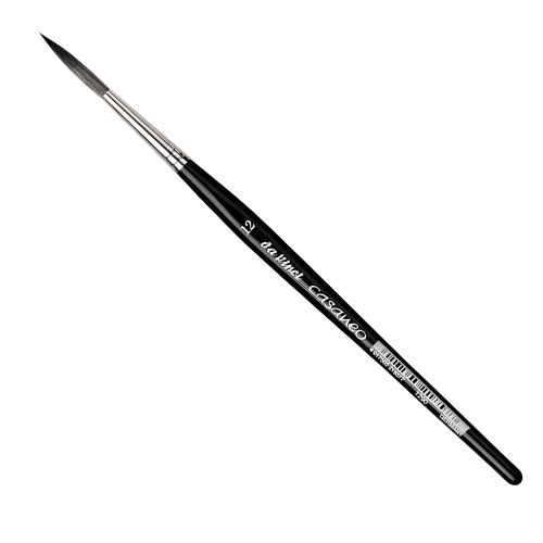 DA VINCI BRUSH CASANEO 1290 ROUND #12