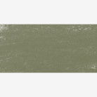 SCHMINCKE СУХ ПАСТЕЛ GREENISH GREY 1, D 17093069