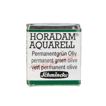 SCHMINCKE АКВАРЕЛНА БОЯ H/PAN HORADAM PERMANENT GREEN OLIVE