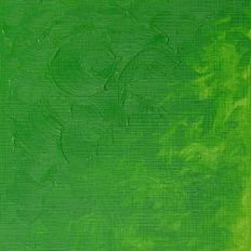 W&N OIL PAINT WINTON 37 ML. - PERMANENT LIGHT GREEN