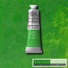 W&N OIL PAINT WINTON 37 ML. - PERMANENT LIGHT GREEN