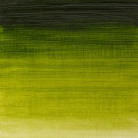 W&N OIL PAINT WINTON 37 ML. - SAP GREEN