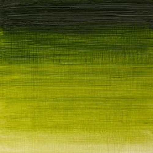 W&N OIL PAINT WINTON 37 ML. - SAP GREEN