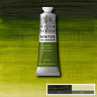 W&N OIL PAINT WINTON 37 ML. - SAP GREEN