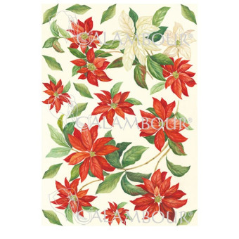 CALAMBOUR DECOUPAGE PAPER 48/33 CM - RP 73