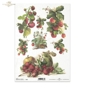 ITD COLLECTION DECOUPAGE RICE PAPER A4 - R0394