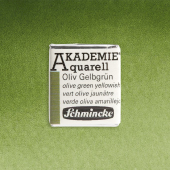 SCHMINCKE АКВАРЕЛНА БОЯ H/PAN AKADEMIE OLIVE GREEN YELLOWISH