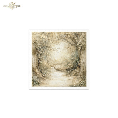 ITD COLLECTION MINI RICE PAPER К-КТ 6БР 14.8X14.8CM - RSM237