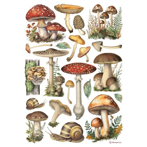 STAMPERIA MUSHROOMS DECOUPAGE RICE PAPER A4-DFSA41000