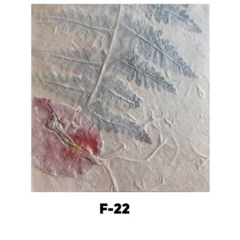 NEPAL HANDMADE PAPER F-22 60 GSM, 50/75