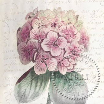 SAGEN VINTAGE NAPKINS FOR DECOUPAGE 33/33 CM - 2059