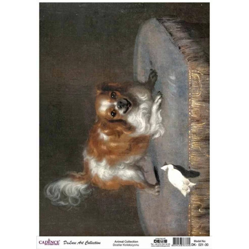 CADENCE DECOUPAGE RICE PAPER A3 - DK-021-30