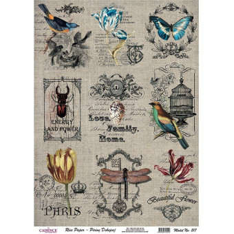 CADENCE DECOUPAGE RICE PAPER A4 - 217