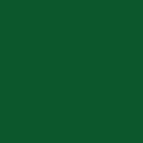 DALER ROWNEY ACRYLIC INK FW 29.5 ML - SAP GREEN 160029375