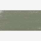 SCHMINCKE СУХ ПАСТЕЛ GREENISH GREY 1, H 17093073