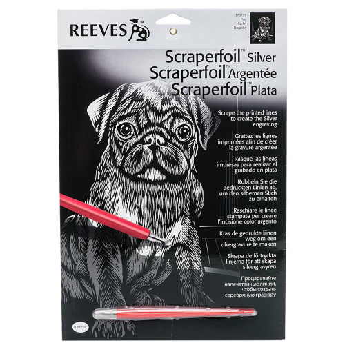REEVES КОМПЛЕКТ ЗА РИСУВАНЕ С ИЗДРАСКВАНЕ - SILVER PPSF55